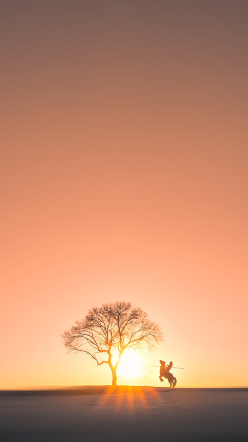 战术晶片，当广东队带走爵士的基因，文班亚马如何成为跨时空攻防连接体？